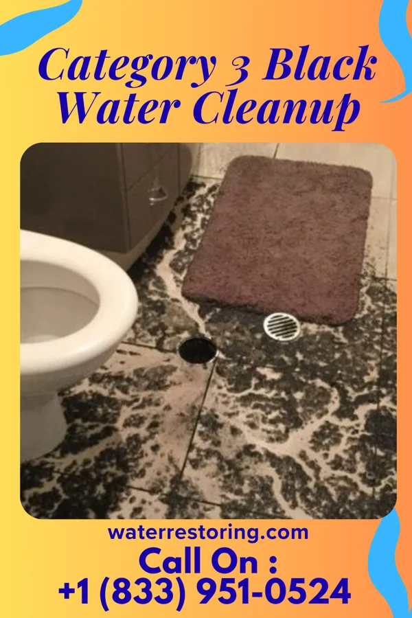 Category 3 Black Water Cleanup in Bogue, KS
